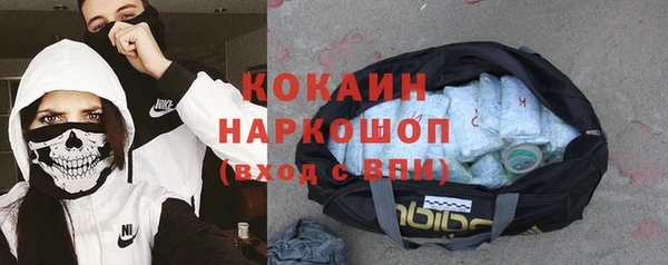 гашик Липки