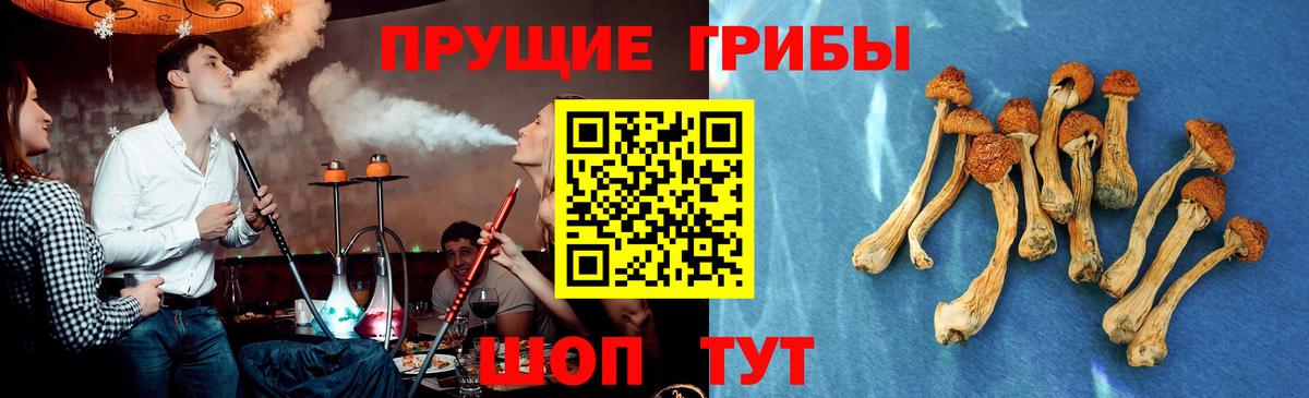 Галлюциногенные грибы прущие грибы Михайловск