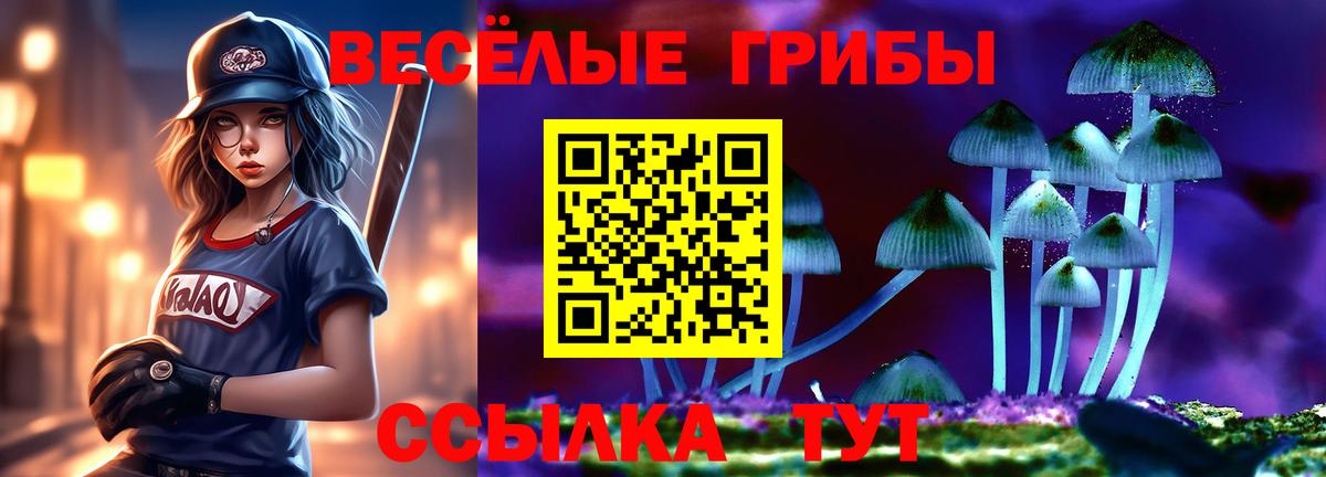 продажа наркотиков  Галлюциногенные грибы мухоморы  Галлюциногенные грибы Magic Shrooms  Вход с VPN  Михайловск 